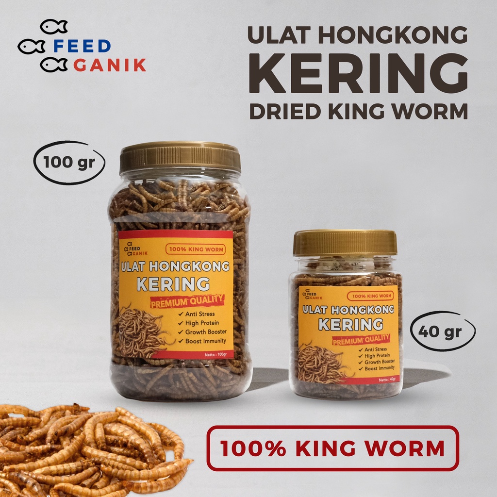 Jual Ulat Hongkong Kering Feedganik Gr Dan Gr Dried Mealworm