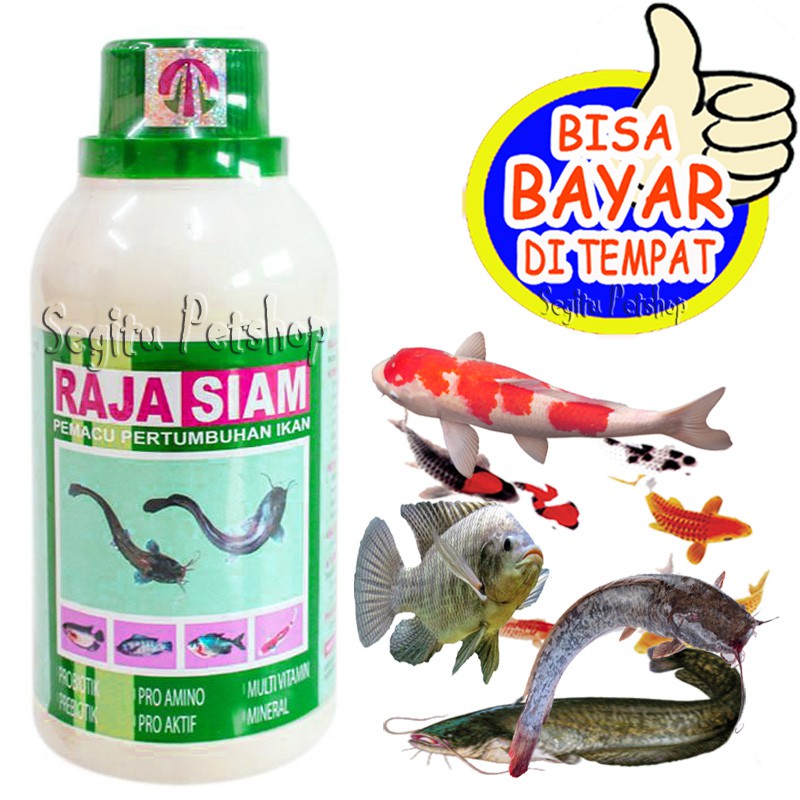 Jual VITAMIN IKAN RAJA SIAM PERTUMBUHAN GEMUK MAS NILA LELE PATIN BAWAL