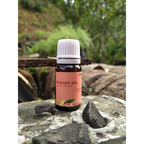 Jual 10 Ml Sampel Minyak Jahe Ginger Oil Zingiber Officinale