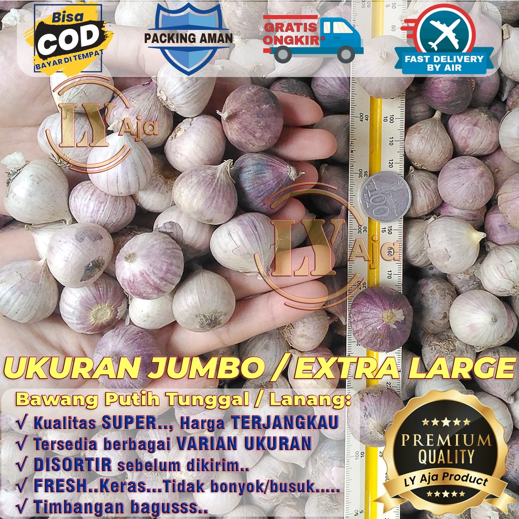 Jual Bawang Putih Tunggal Lanang Gram Jumbo Besar Sedang Kecil Ly