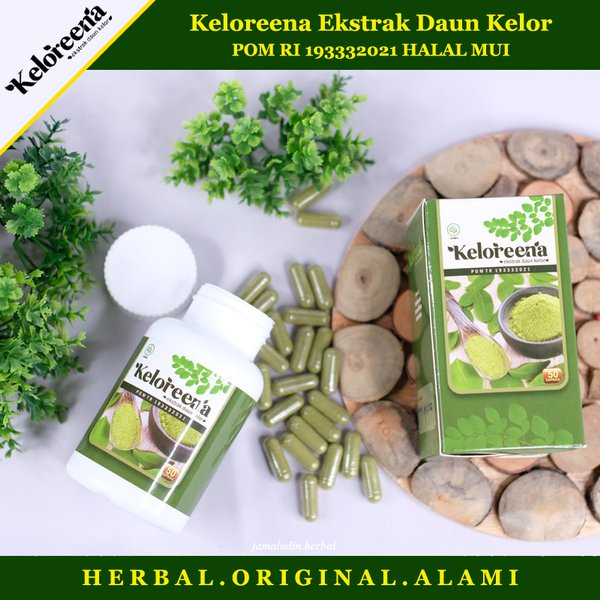 Jual Uzi Herbal Keloreena Obat Keloreena Asli Ekstrak Daun Kelor