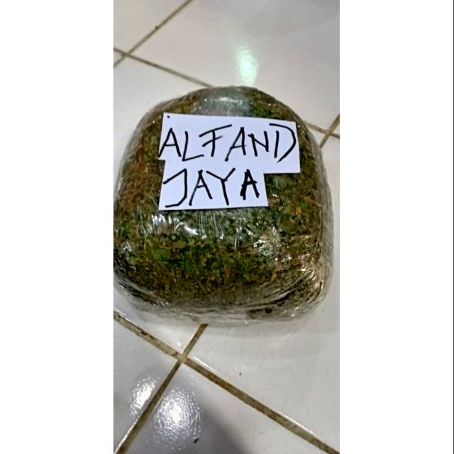 Jual Daun Kelor Kering Gram Murni Bersih Hijau Kualitas Premium