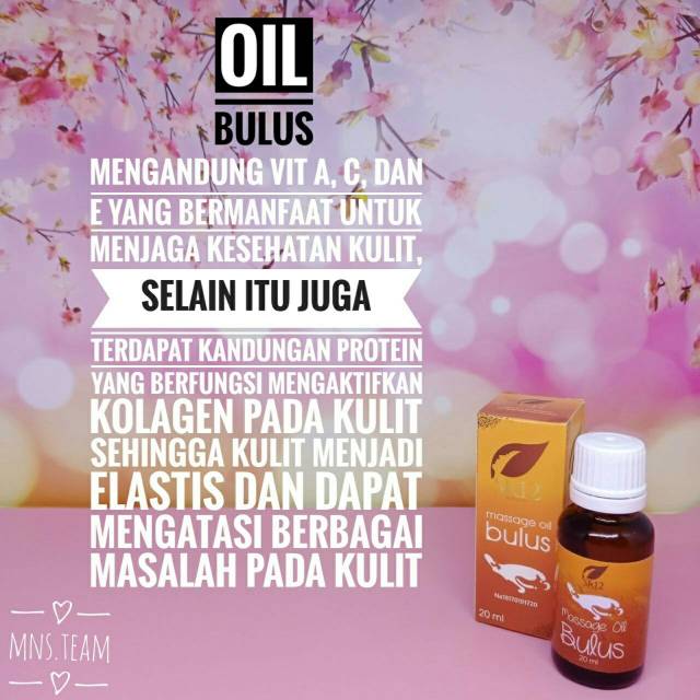 Jual AMPUH MASSAGE OIL BULUS SR12 Minyak Bulus Shopee Indonesia