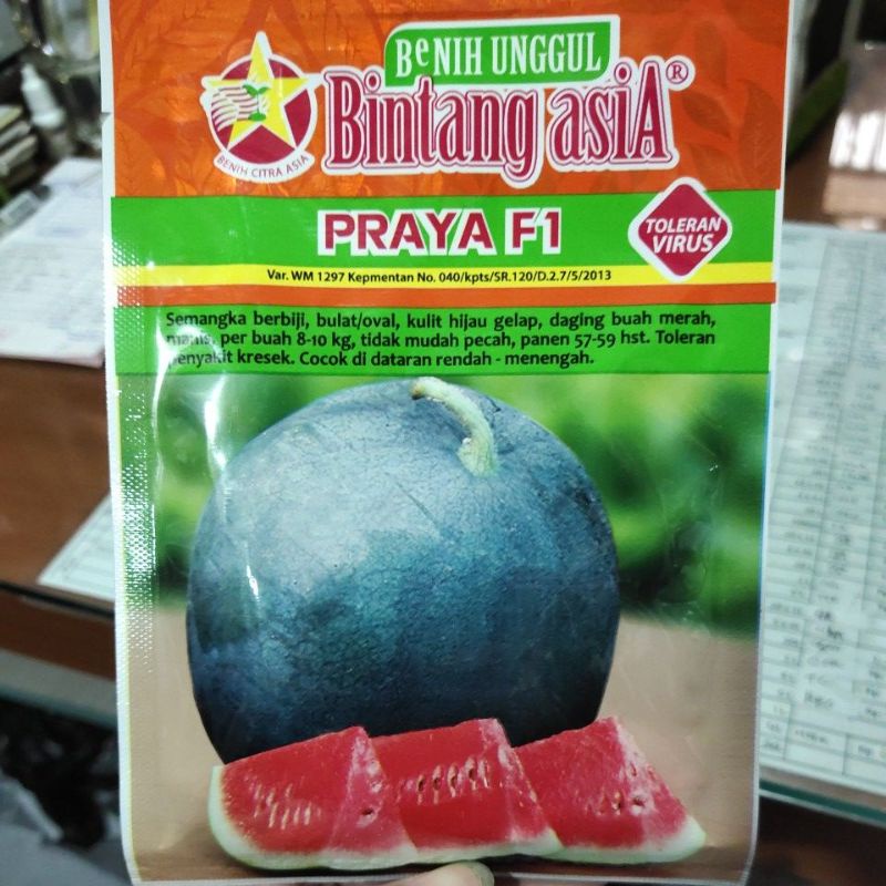 Jual Benih Semangka Praya F1 Bintang Asia 20 Gram Shopee Indonesia