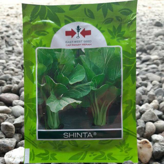 Jual Benih Sayur Sawi Manis SHINTA Isi 25gr Cap Panah Merah Shopee