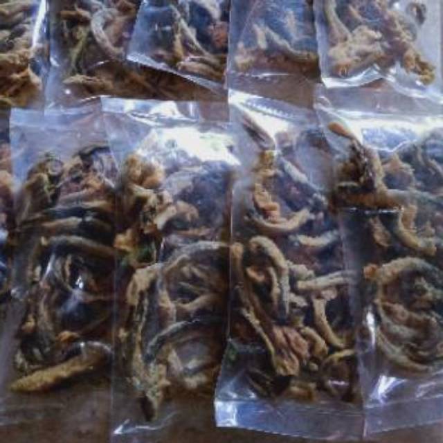 Jual Keripik Belut Goreng Crispy Renyah Shopee Indonesia