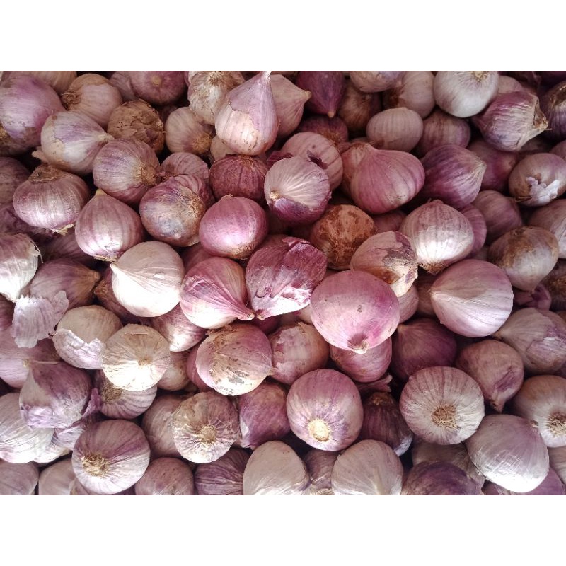 Jual Bawang Putih Tunggal Kg Shopee Indonesia