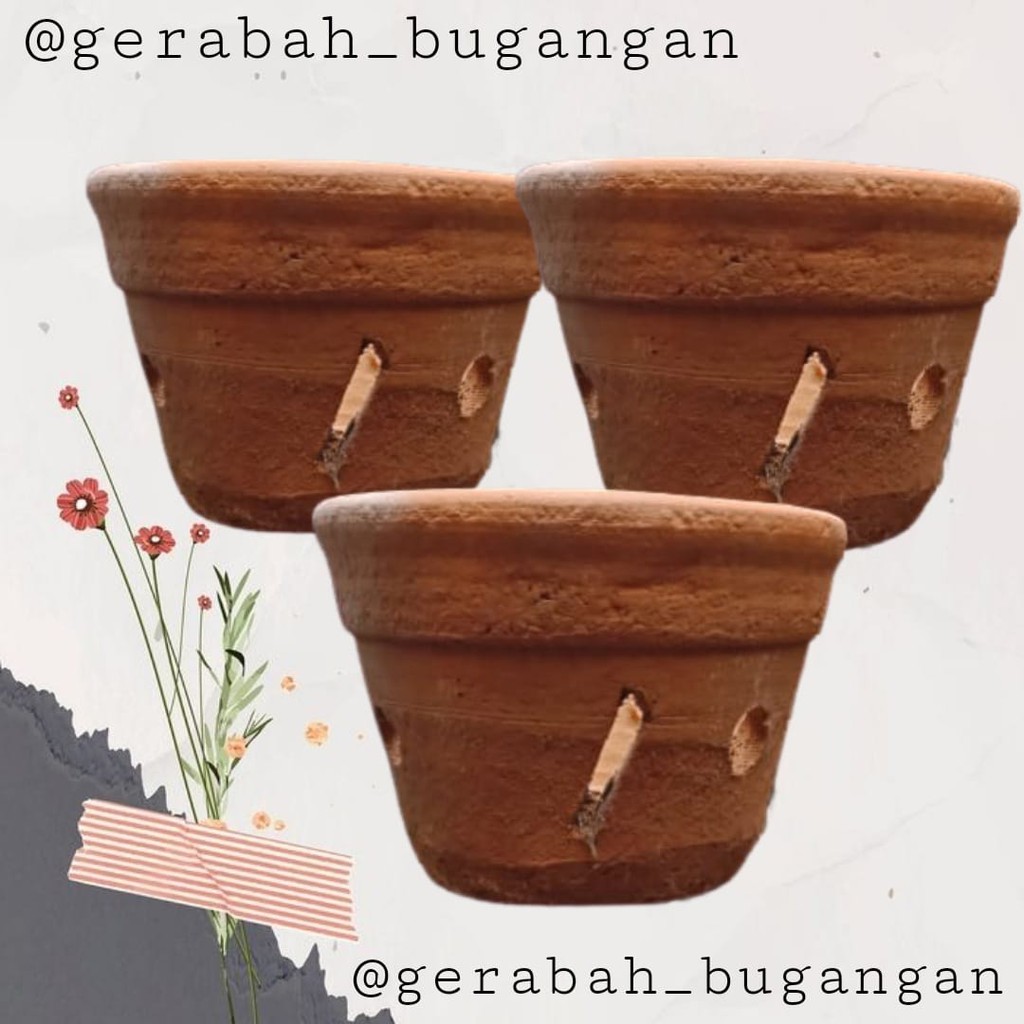 Jual POT ANGGREK TANAH LIAT GERABAH POT BUNGA TANAMAN MURAH Shopee