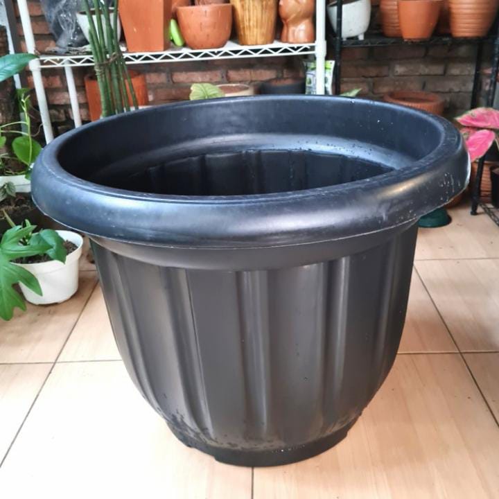 Jual POT BESAR 60 HITAM JUMBO POT TANAMAN BESAR MURAH Shopee Indonesia