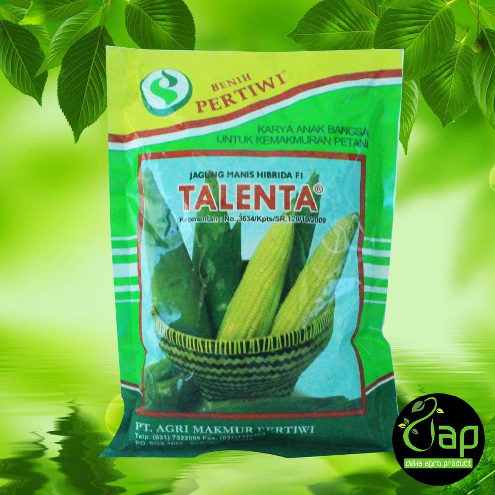 Jual BIBIT BENIH SUPER JAGUNG MANIS HIBRIDA F1 TALENTA 250 GRAM