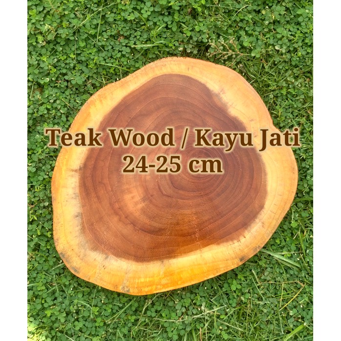 Jual Teak Wood Cm Slice Log Potongan Kayu Jati Dekorasi Talenan