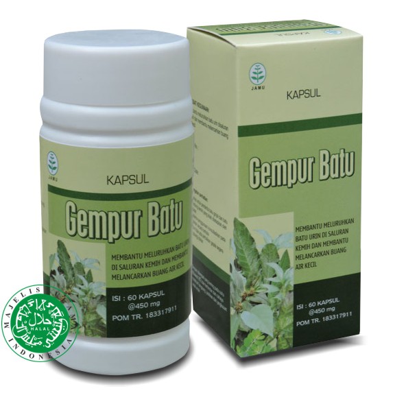 Jual Kapsul Gempur Batu Obat Herbal Untuk Batu Ginjal Meluruhkan Batu