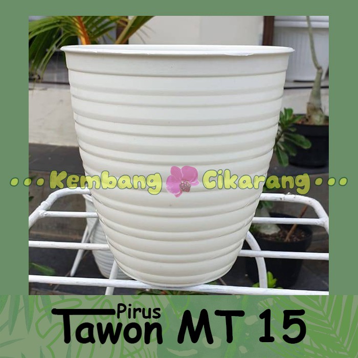 Jual POT PIRUS MT 15 15cm Pot Bunga Model Tawon Pirus Tirus Tinggi