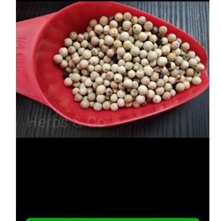 Jual Biji Lada Putih White Pepper Seeds 50 Gr Shopee Indonesia