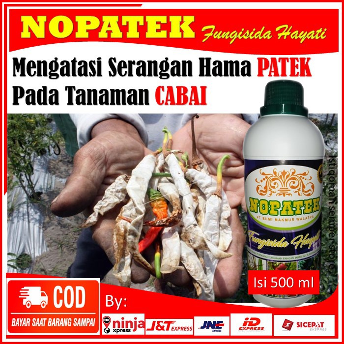 Jual Promo Obat Hama Tanaman Mengatasi Serangan Patek Pada Tanaman