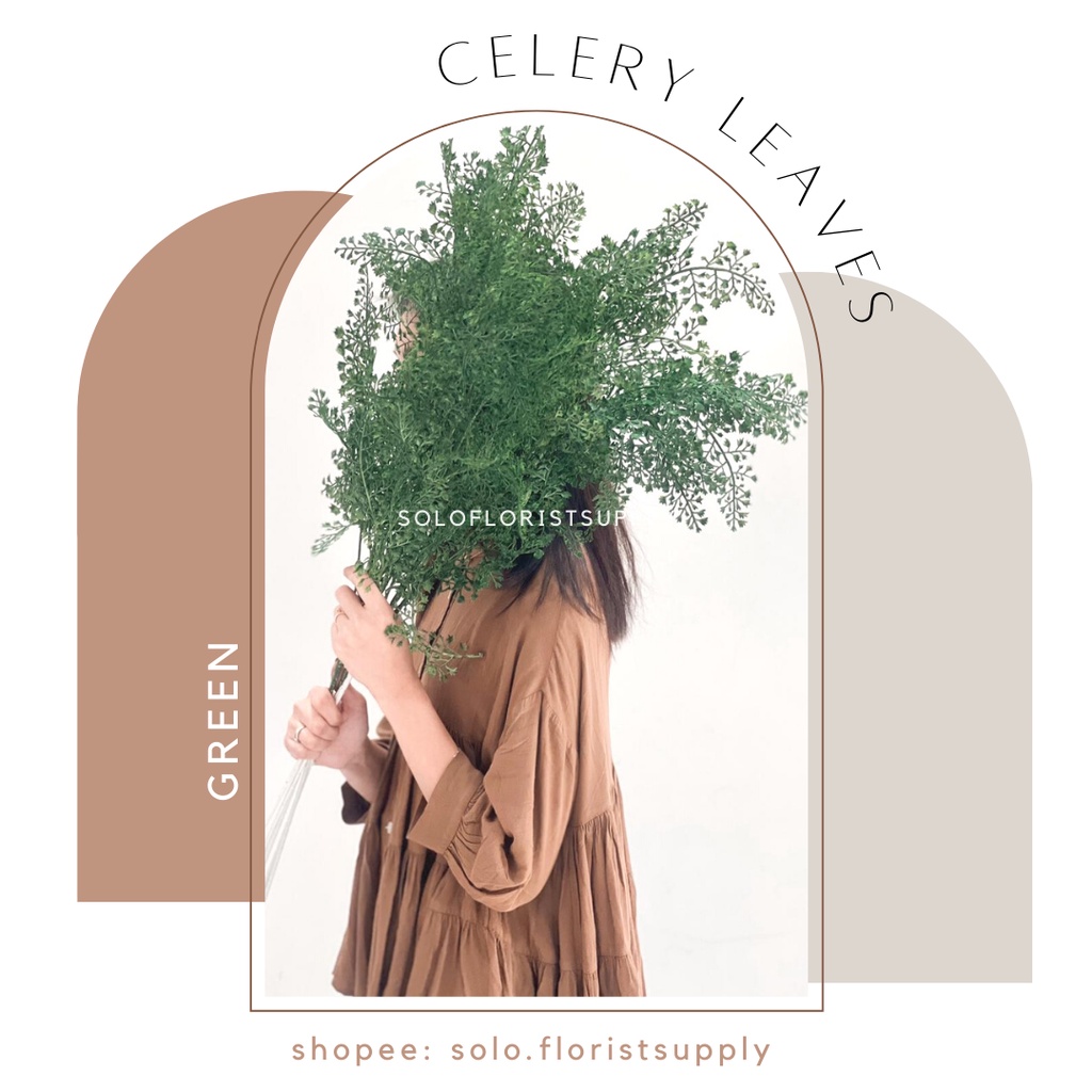 Jual Celery Leaves Grass Daun Juntai Aksesoris Juntai Star Premium