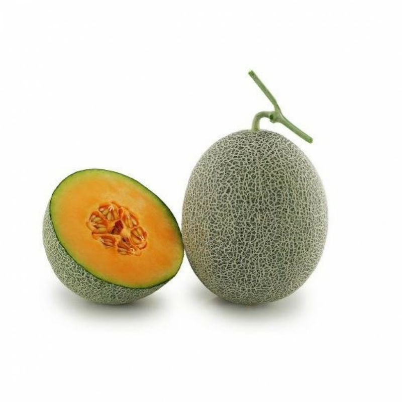 Jual 5 Benih Biji Buah Melon Golden Aroma Shopee Indonesia