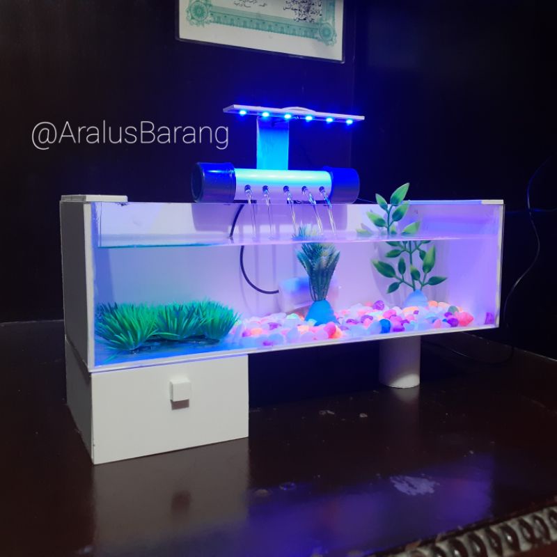 Jual Aquarium Minimalis Fullset Dengan Filter Dan Lampu Led Shopee