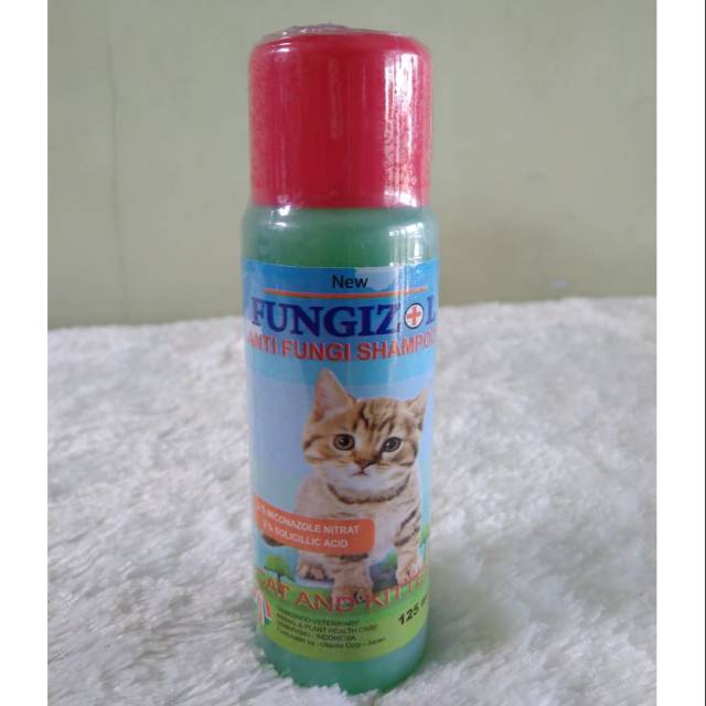 Jual Fungizole 125 Ml Shampoo Anti Jamur Untuk Kucing Shopee Indonesia