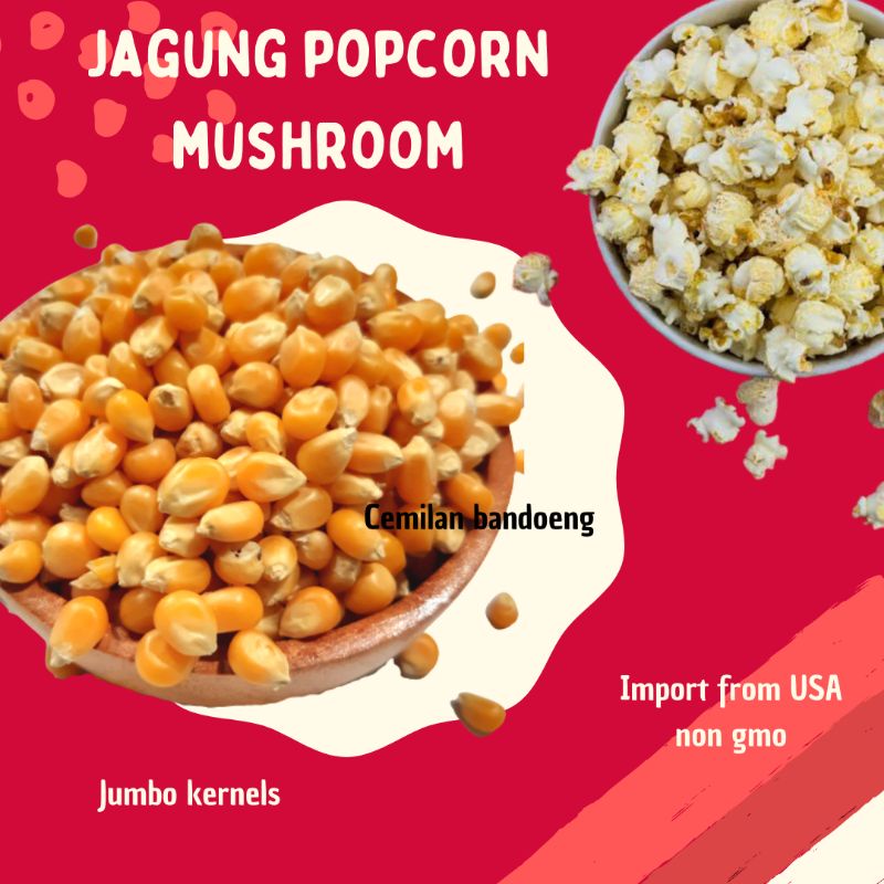 Jual Jagung Popcorn Mushroom Kemasan 1 Kg Shopee Indonesia