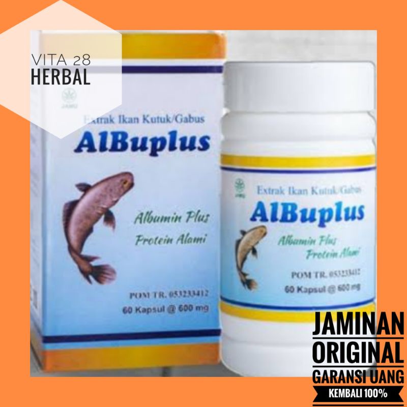 Jual KAPSUL ALBUPLUS EKSTRAK IKAN GABUS KHUTUK ALBUMIN PLUS 1 BOTOL