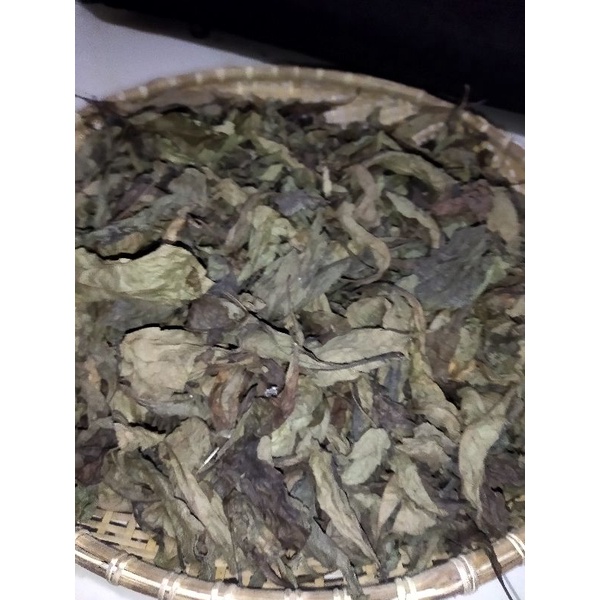 Jual Daun Aprika Sambung Nyawa Kering 250 Gram Shopee Indonesia