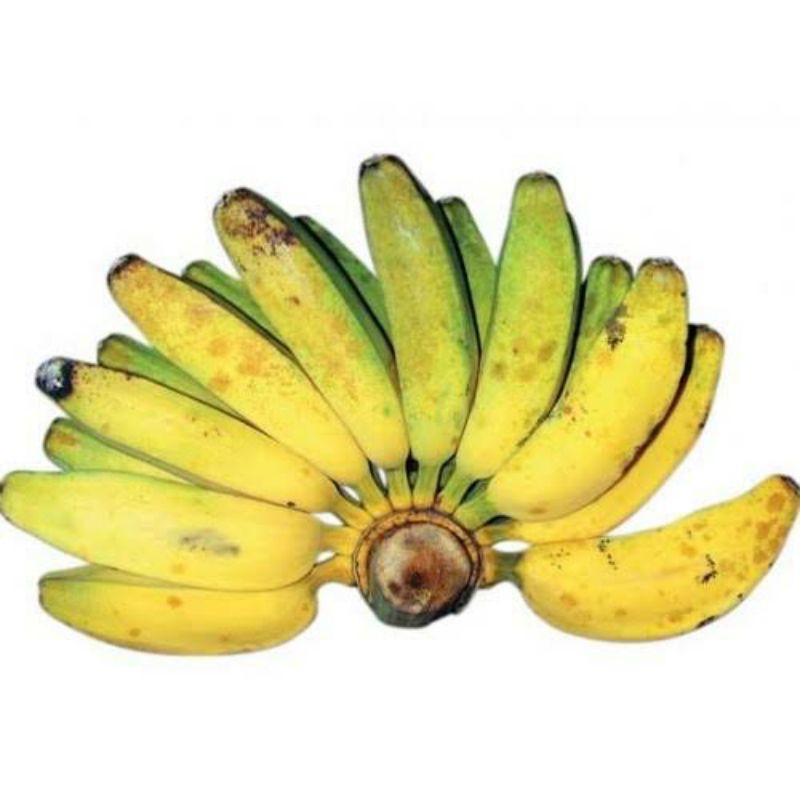 Jual Sruni Buah Pisang Kepok Untuk Kolak Goreng Sisir Shopee Indonesia