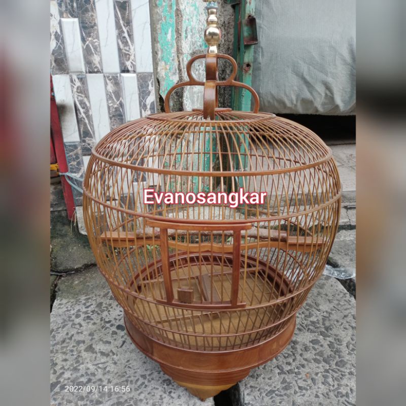 Jual Kandang Burung Puter Tekukur Kayu Jati Shopee Indonesia