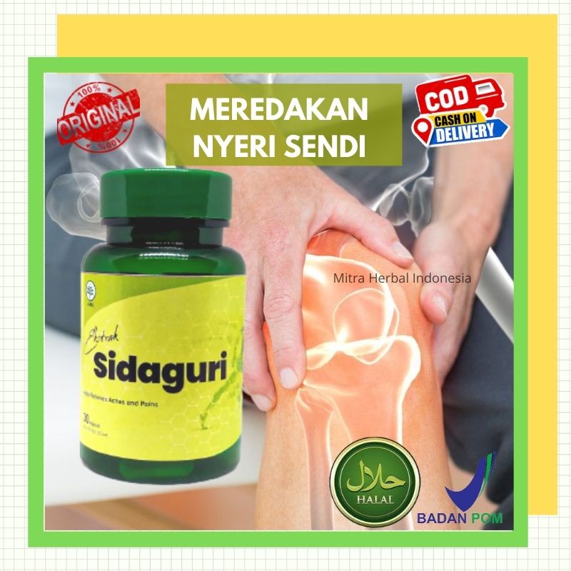 Jual Sidaguri Original Obat Rematik Asam Urat Atasi Nyeri Sendi