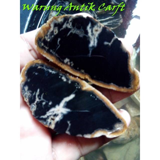 Jual Batu Fosil Galih Kelor Hitam Motif Bentuk Lempengan Mm Oleh