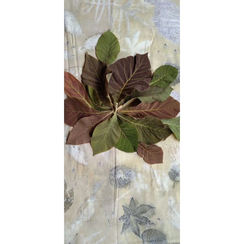 Jual Daun Jati Ecoprint Shopee Indonesia