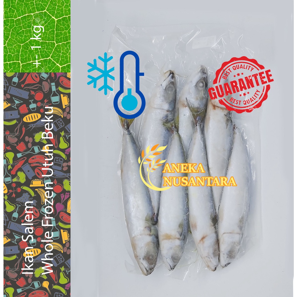 Jual Ikan Salem Premium Utuh Beku Whole Frozen 1 Kg Shopee Indonesia