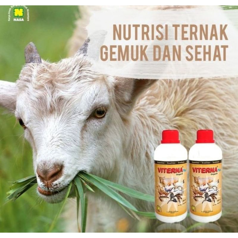 Jual VITERNA NASA VITAMIN TERNAK PENGGEMUK HEWAN TERNAK Shopee Indonesia