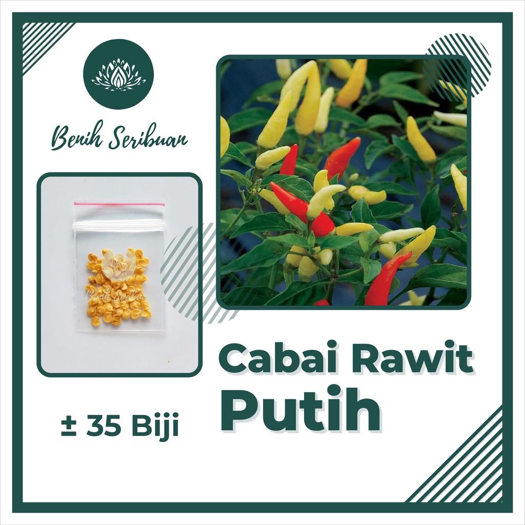 Jual TERMURAH Benih Bibit Sayur Sayuran Paket Lengkap Tanaman