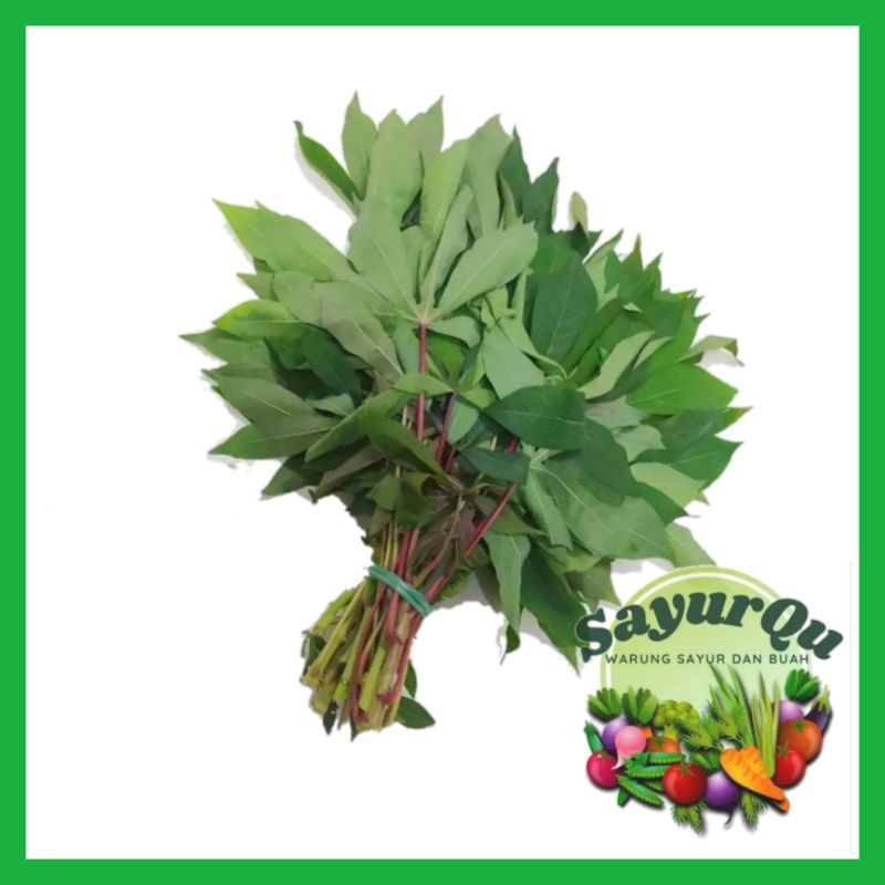 Jual Daun Singkong Fresh Ikat Sayur Segar Bekasi Shopee Indonesia