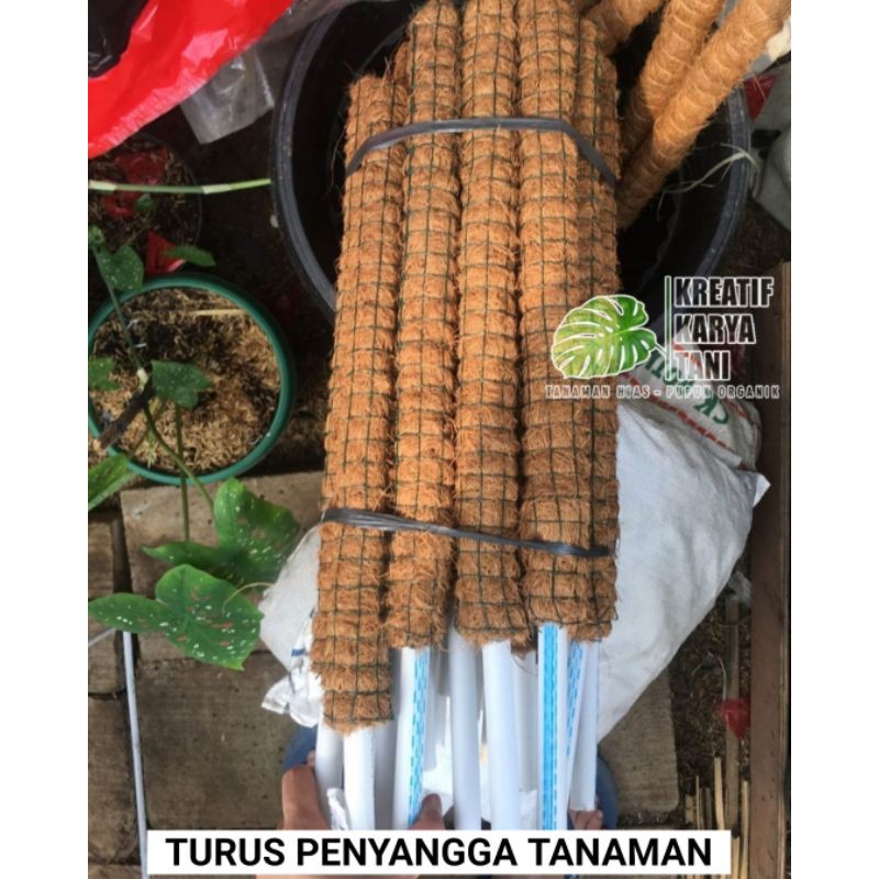 Jual Turus Penyangga Tanaman Tiang Tanaman Rambat Turus Sabut