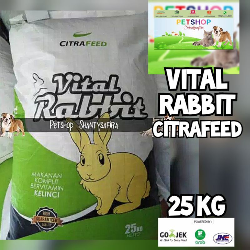 Jual Expedisi Makanan Kelinci Vital Rabbit Citra Feed Food Rabbit