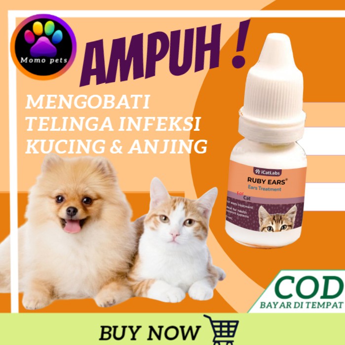 Jual Obat Tetes Telinga Kucing Obat Kutu Hewan Kucing Anjing Infeksi