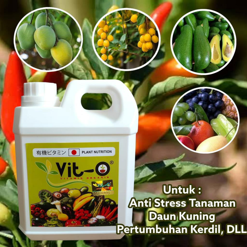 Jual Pupuk Vit O Plant Nutrition Organik Liter Shopee Indonesia