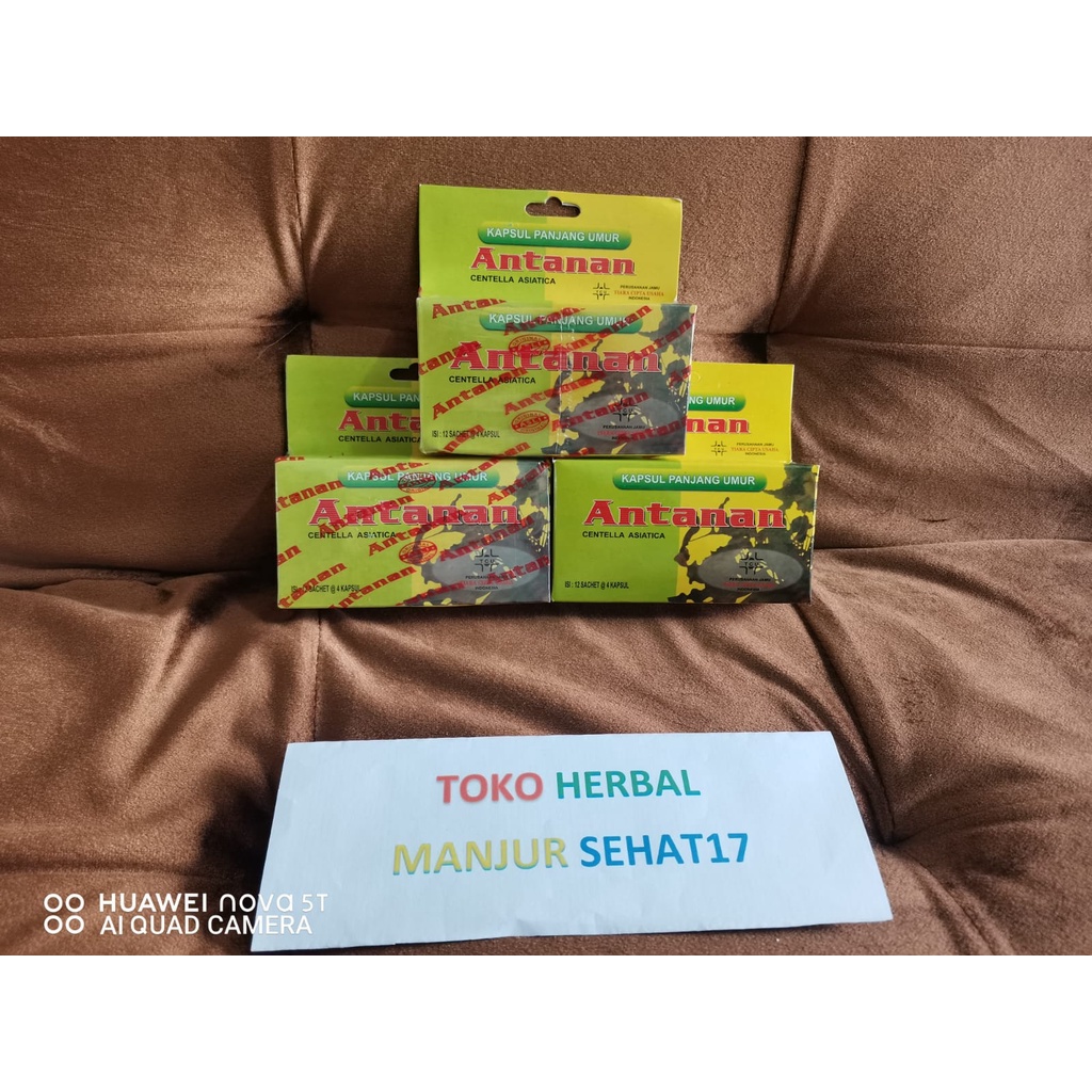 Jual ANTANAN Original 1 Box Isi 12 Sachet Antanan Centella Asiatica