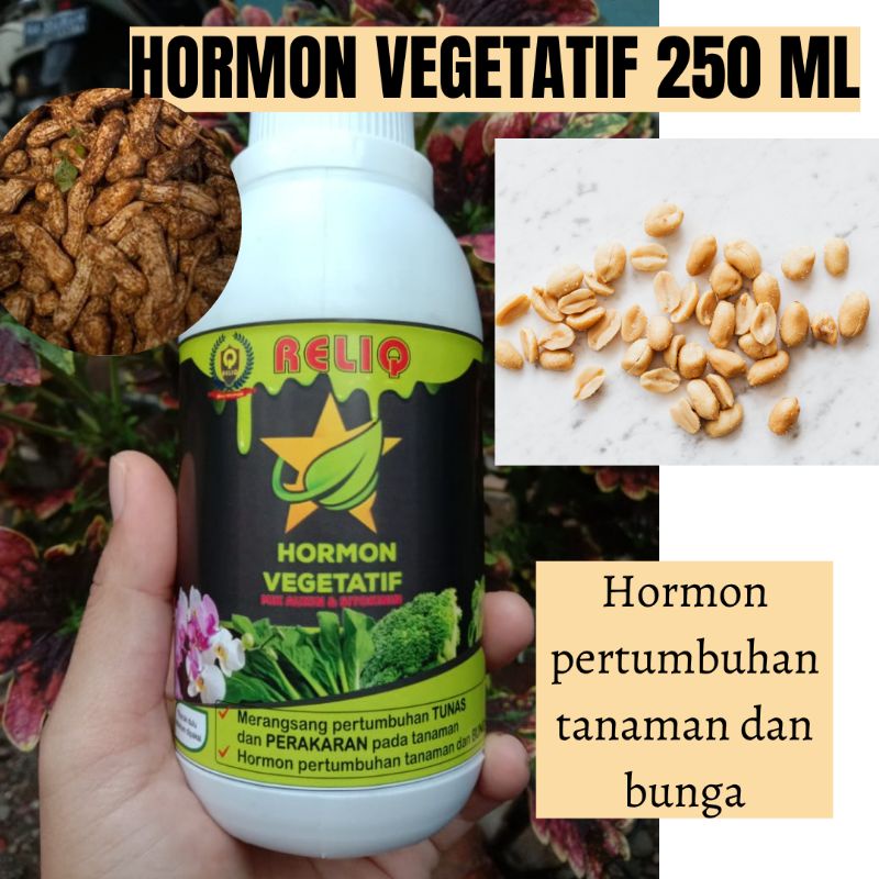 Jual Pupuk Buah Kacang Tanah PUPUK RELIQ CAIR HORMON VEGETATIF 250