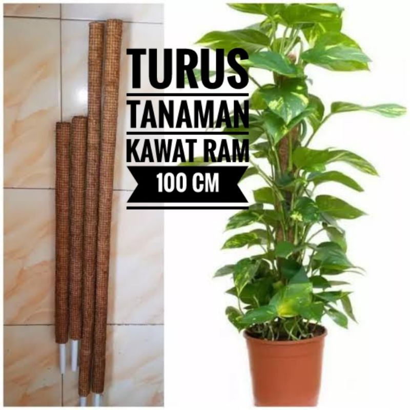 Jual Turus Penyangga Tanaman 100 Cm Kawat Ram Hijau Shopee Indonesia