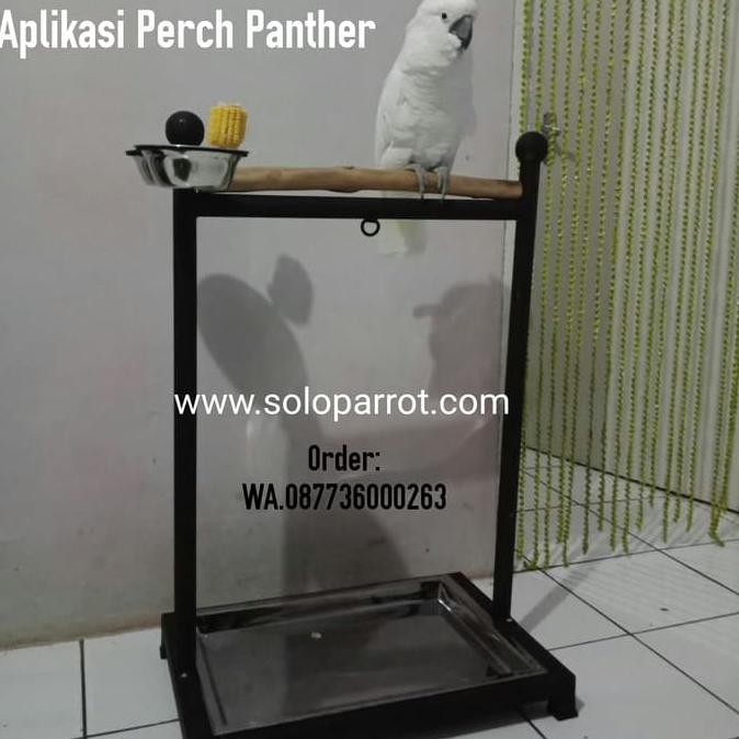 Jual Perch Kandang Tangkringan Buat Burung Parrot Nuri Kakatua Afgrey