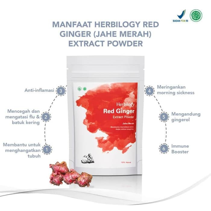 Jual Herbilogy Red Ginger Jahe Merah Extract Powder G Shopee