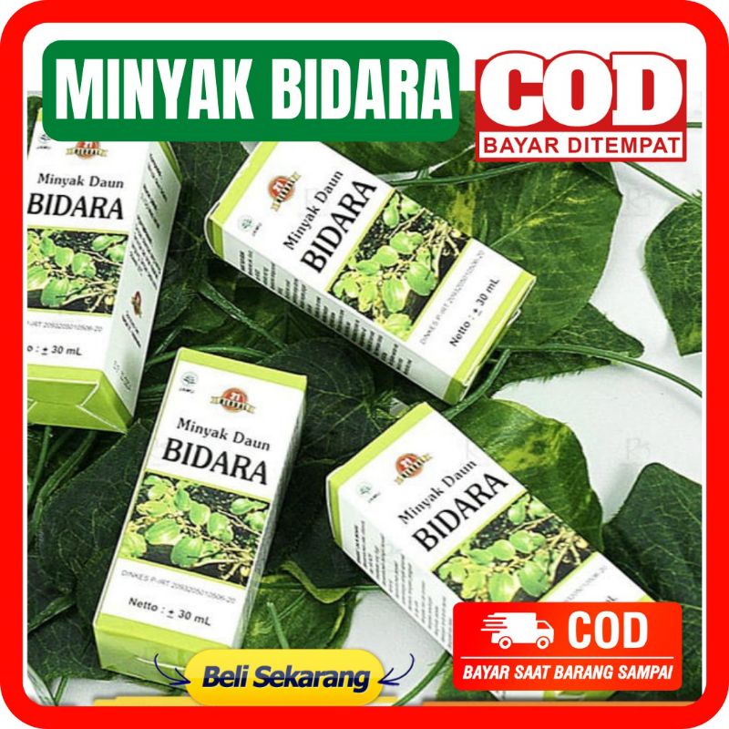 Jual AGEN RESMI MINYAK DAUN BIDARA SIDR OIL 30ml Bidara Sidr