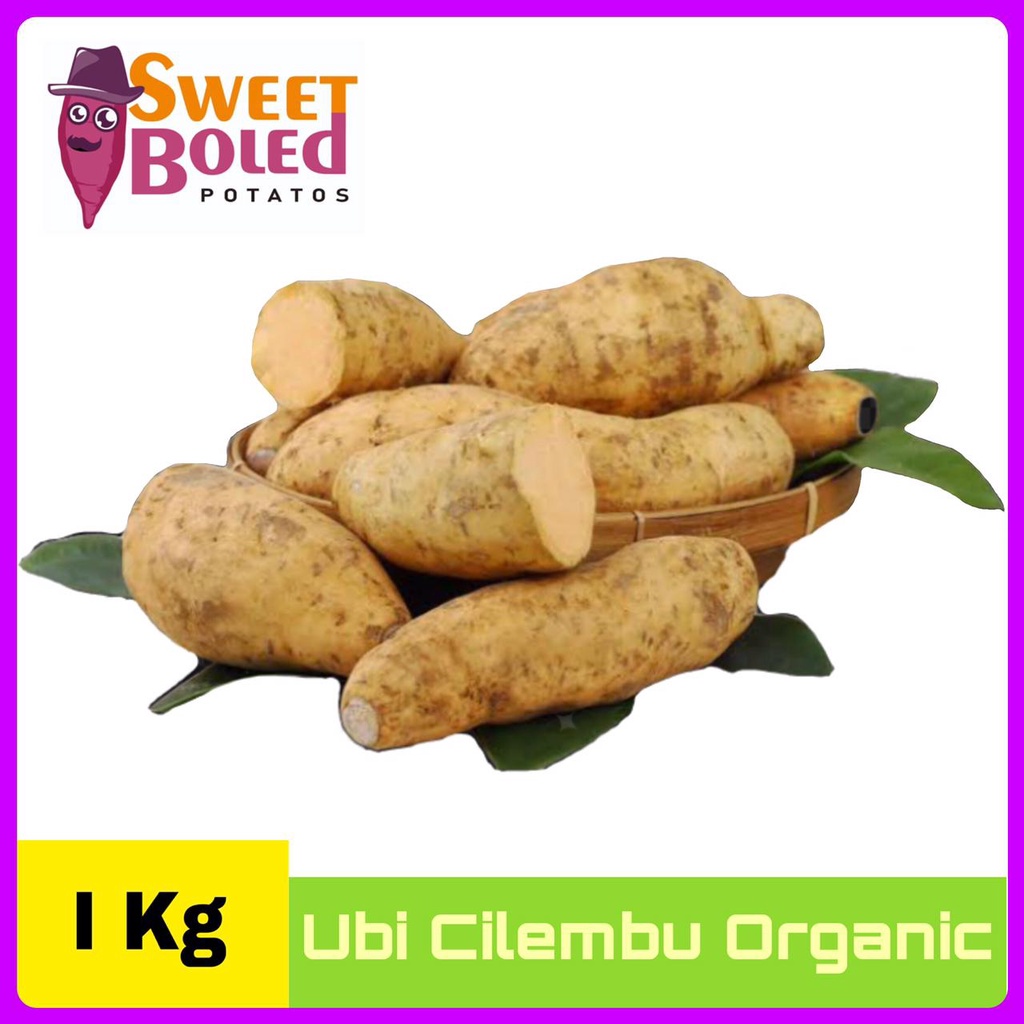 Jual Ubi Cilembu Ubi Madu 1 Kg By SweetBoled Id Sweet Potato