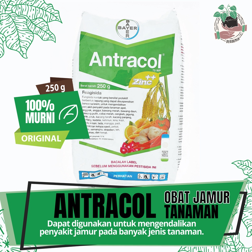 Jual Fungisida Antracol 70wp 250 Gram Obat Anti Jamur Pada Tanaman