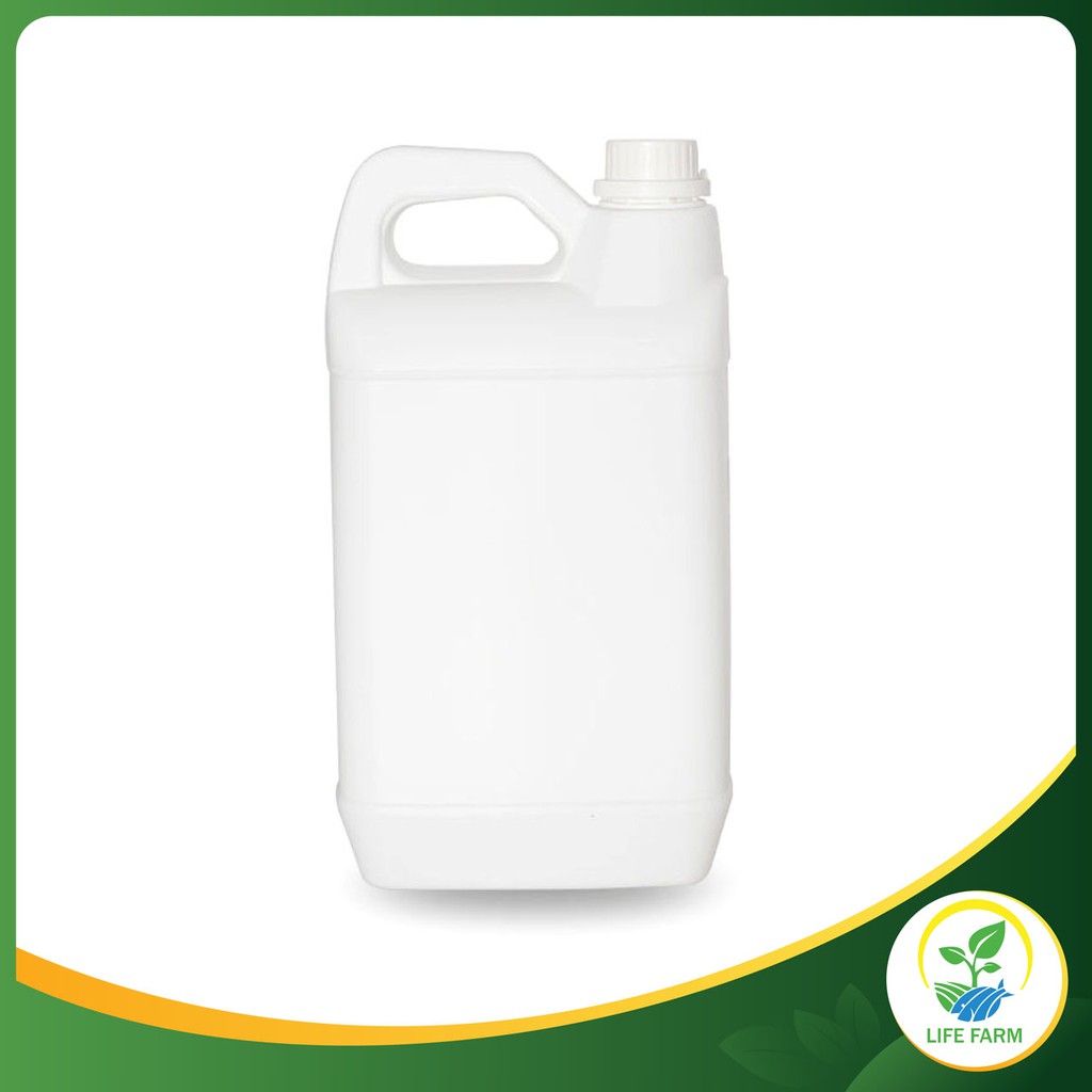 Jual Jerigen Plastik 5 Liter HDPE Botol Jirigen Shopee Indonesia