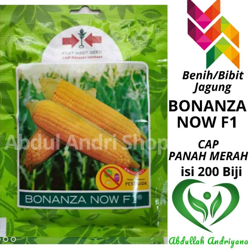 Jual Benih Jagung Manis BONANZA NOW F1 200 Biji Bibit JagungF1 Cap