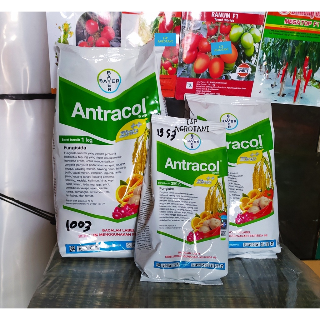 Jual Antracol Wp Kemasan Kg Produk Bayer Fungisida Pengedali